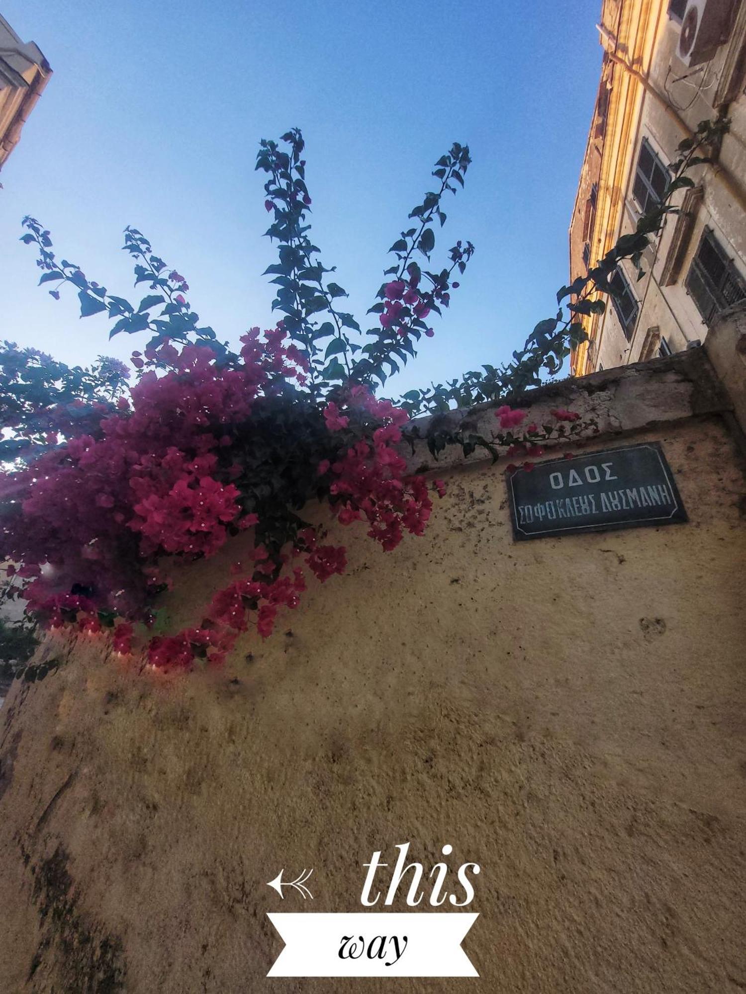 Nenas Volto Apartment Corfu (city) Exterior foto